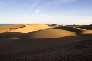 Dünenlandschaft Maspalomas