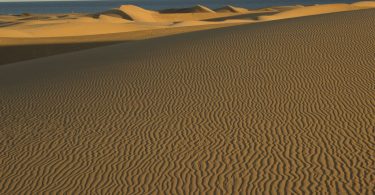 Sandstrukturen in den Dünen von Maspalomas