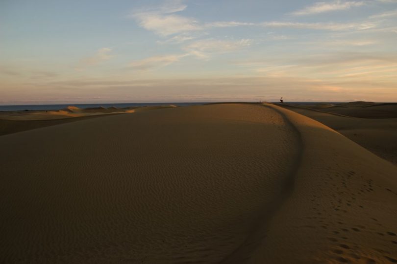 Sandfeld in den Dünen